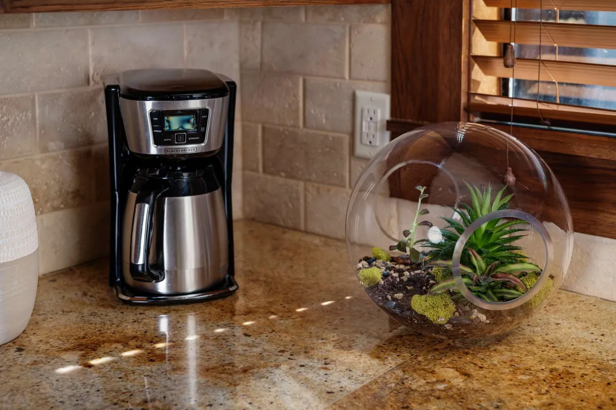 A cozy kitchen counter setup showcasing a modern coffee maker and a glass terrarium, suggesting a welcoming spot for brewing morning coffee and enjoying a peaceful start to the day.